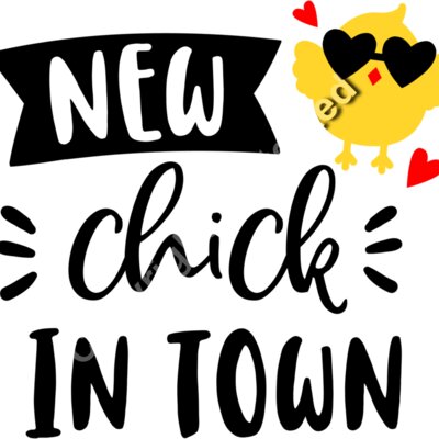 New chick in town Thumbnail
