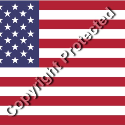 USA flag 01 Thumbnail