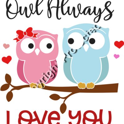 Owl always Love You Thumbnail