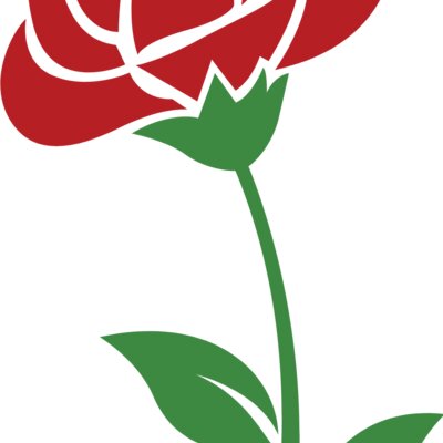 Rose 01 Thumbnail