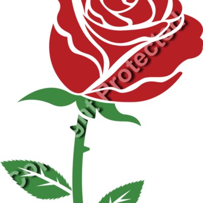 Rose 03 Thumbnail