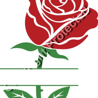 Rose 10 Thumbnail