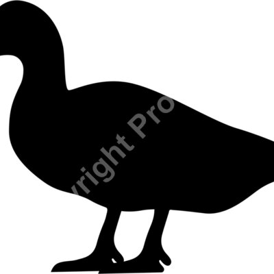 duck Thumbnail