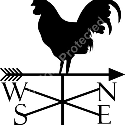 rooster Thumbnail