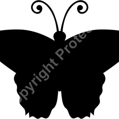 butterfly Thumbnail