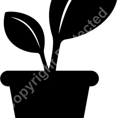 pot2 Thumbnail