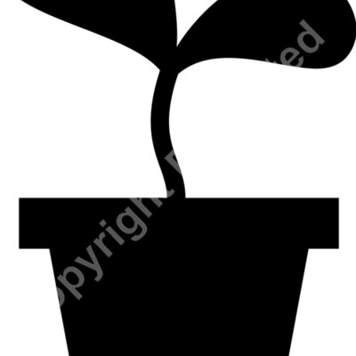 seedling Thumbnail