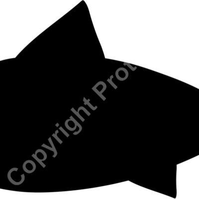 fish Thumbnail