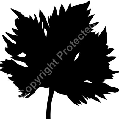 leaf Thumbnail