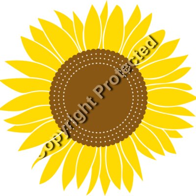 sunflowers B  2  Thumbnail