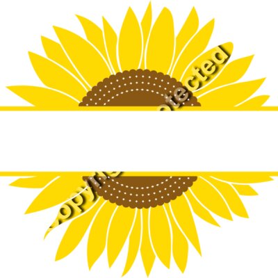 sunflowers B  4  Thumbnail