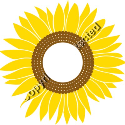 sunflowers B  5  Thumbnail