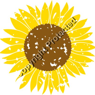 sunflowers B  6  Thumbnail