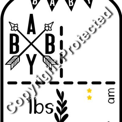 mason jar baby arrows no boxes am Thumbnail