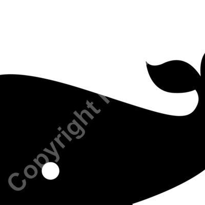 whale Thumbnail