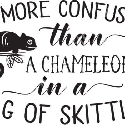 Chameleon in a Bag of Skittles Thumbnail