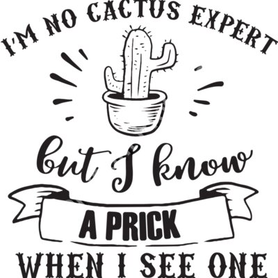 I am No Cactus Expert Thumbnail