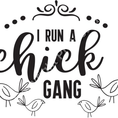 I Run a Chick Gang Thumbnail