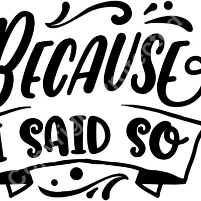 Because I said so Thumbnail