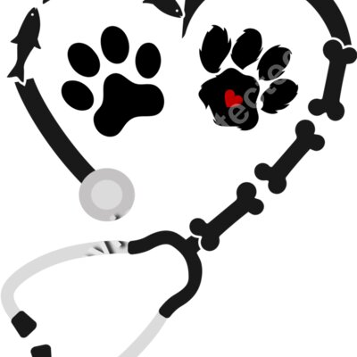 vet heart 1 Thumbnail