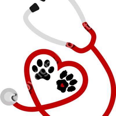 vet heart 2 Thumbnail
