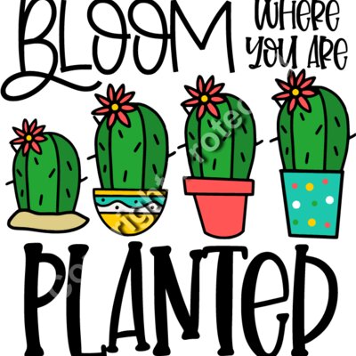 Bloom Where You Are Planted Thumbnail