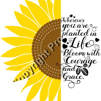 sunflower quote 1 a Thumbnail