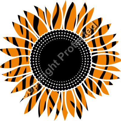 sunflower tiger Thumbnail