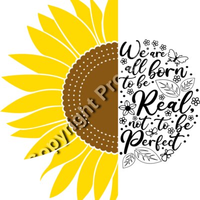 sunflower flowers Thumbnail