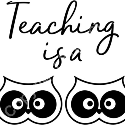 teaching is a hoot Thumbnail