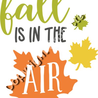 fall is in the air Thumbnail
