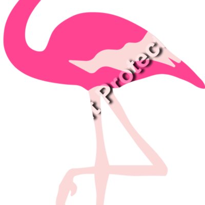 flamingo  1  Thumbnail