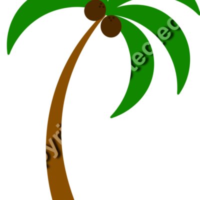 palm trees1  1  Thumbnail