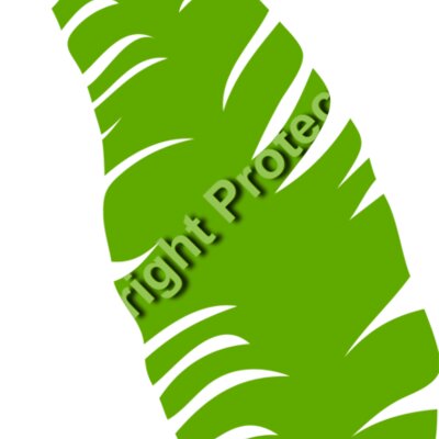 trop leaves  3  Thumbnail