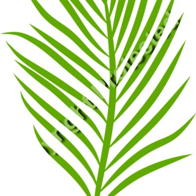 trop leaves  4  Thumbnail