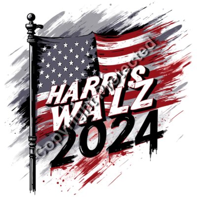Kamala Harris 2024 campaign graphic with American flag and bold lettering  harris wallz 2024 cam Thumbnail
