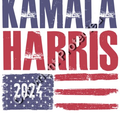 Kamala Harris 2024 campaign graphic with distressed text and American flag elements  Thumbnail