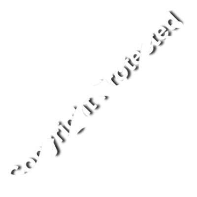 kamala harris 2024 campaign signature typography design white stars Thumbnail