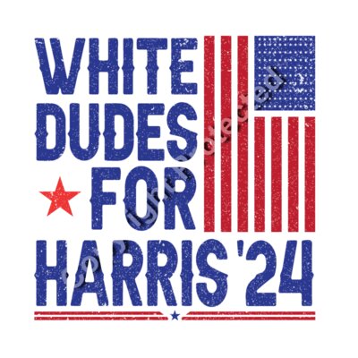 kamala harris 2024 white dudes for election artwork Thumbnail