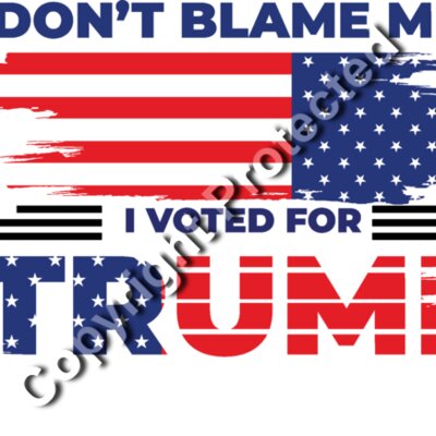 Trump 2024 campaign graphic with American flag and text Don t Blame Me I Voted For Trump Thumbnail
