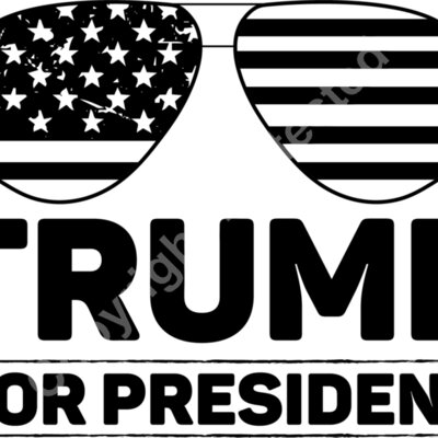 trump 2024 campaign symbol american flag iconography Thumbnail