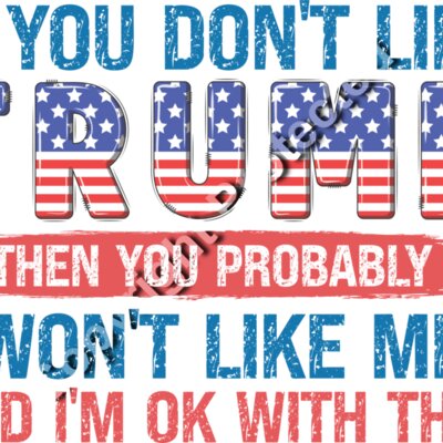 trump 2024 election slogan graphic quote american flag theme Thumbnail