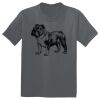 The Concert Tee ® Thumbnail