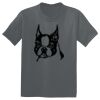 The Concert Tee ® Thumbnail