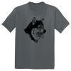 The Concert Tee ® Thumbnail