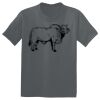 The Concert Tee ® Thumbnail