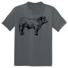 The Concert Tee ® Thumbnail