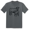 The Concert Tee ® Thumbnail