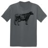 The Concert Tee ® Thumbnail