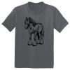 The Concert Tee ® Thumbnail